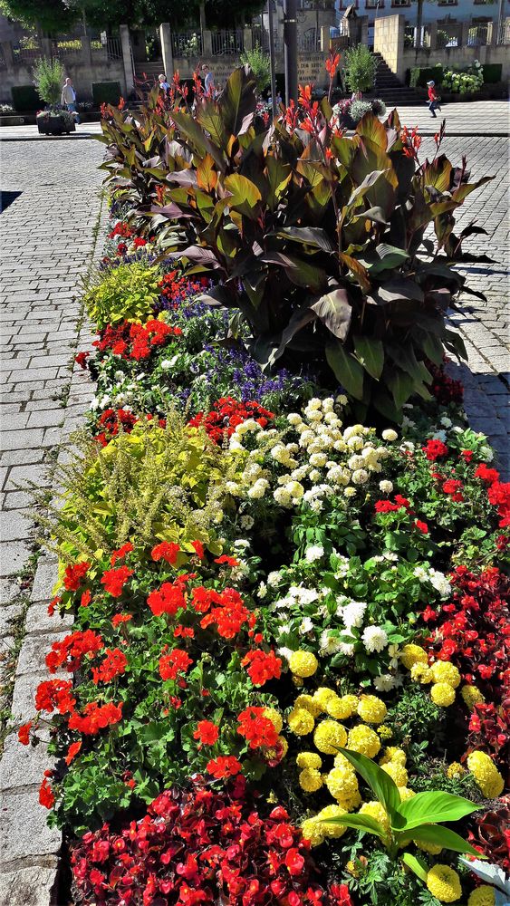 20200805 Mittwochsblümchen Verkehrsinsel in Bayreuth