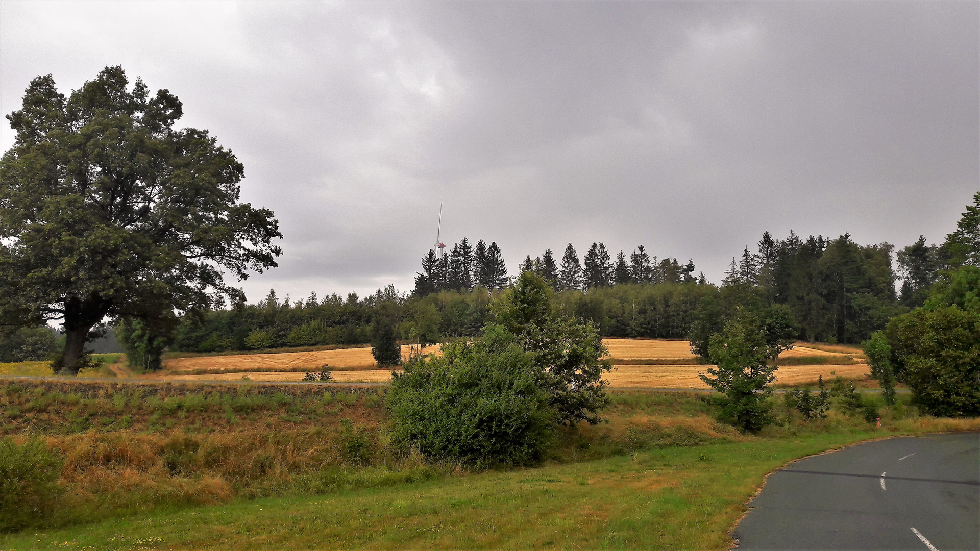 20200814 Abgeerntet und damit freier Blick zur Ökoausgleichsfläche