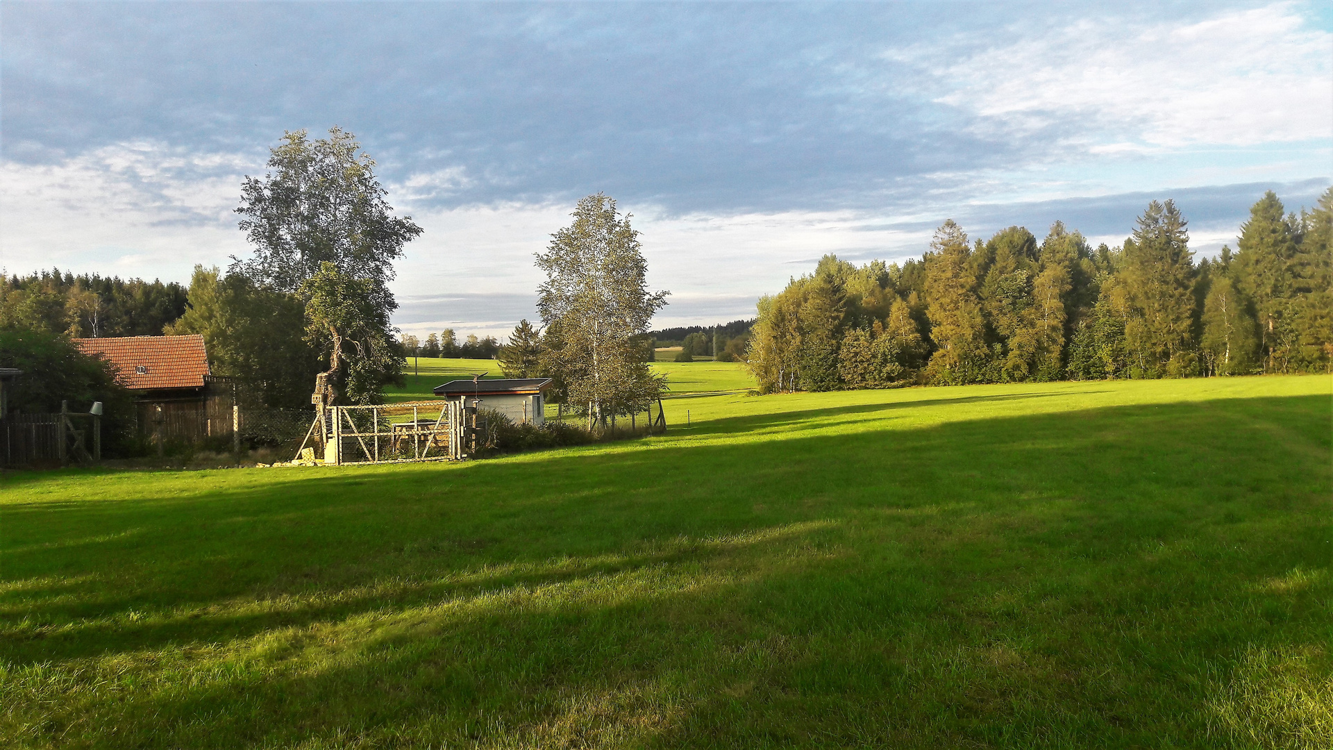 20200904 Baumschatten mit Blick Richtung Bauernhofmuseum Kleinlosnitz