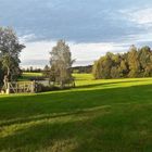 20200904 Baumschatten mit Blick Richtung Bauernhofmuseum Kleinlosnitz