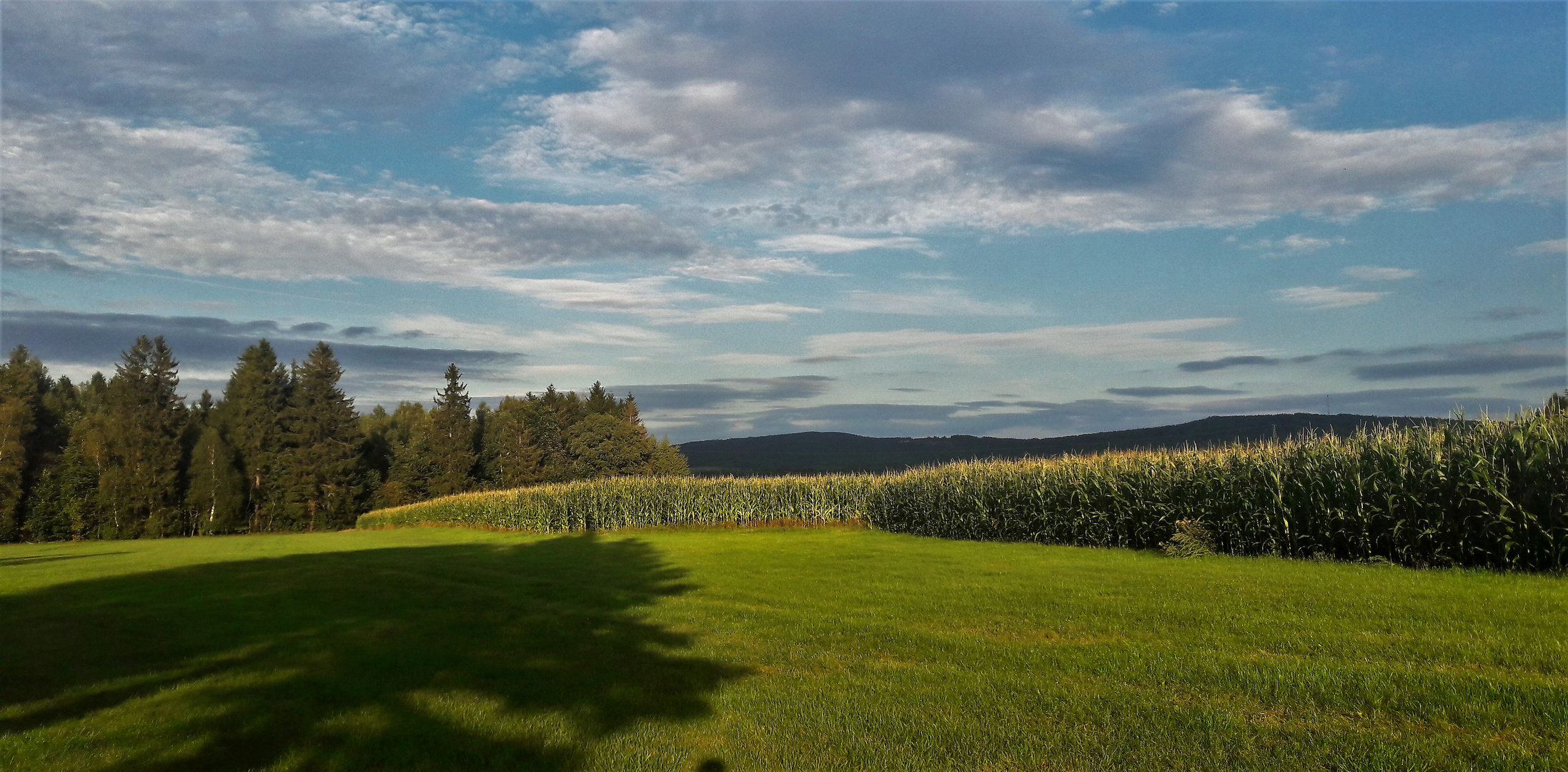 20200904 Baumschatten mit Blick zum Fichtelgebirge