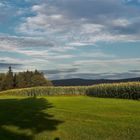 20200904 Baumschatten mit Blick zum Fichtelgebirge