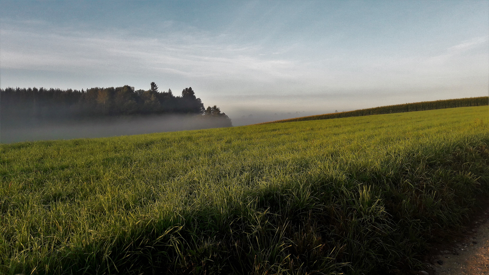 20200913 Bodennebel in den Senken