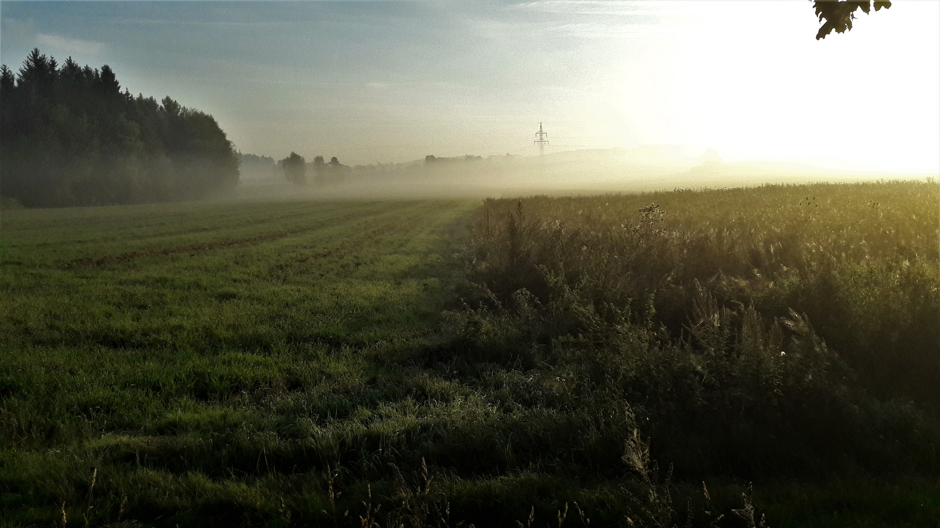 20200913 Die Sonne kommt, der Nebel geht