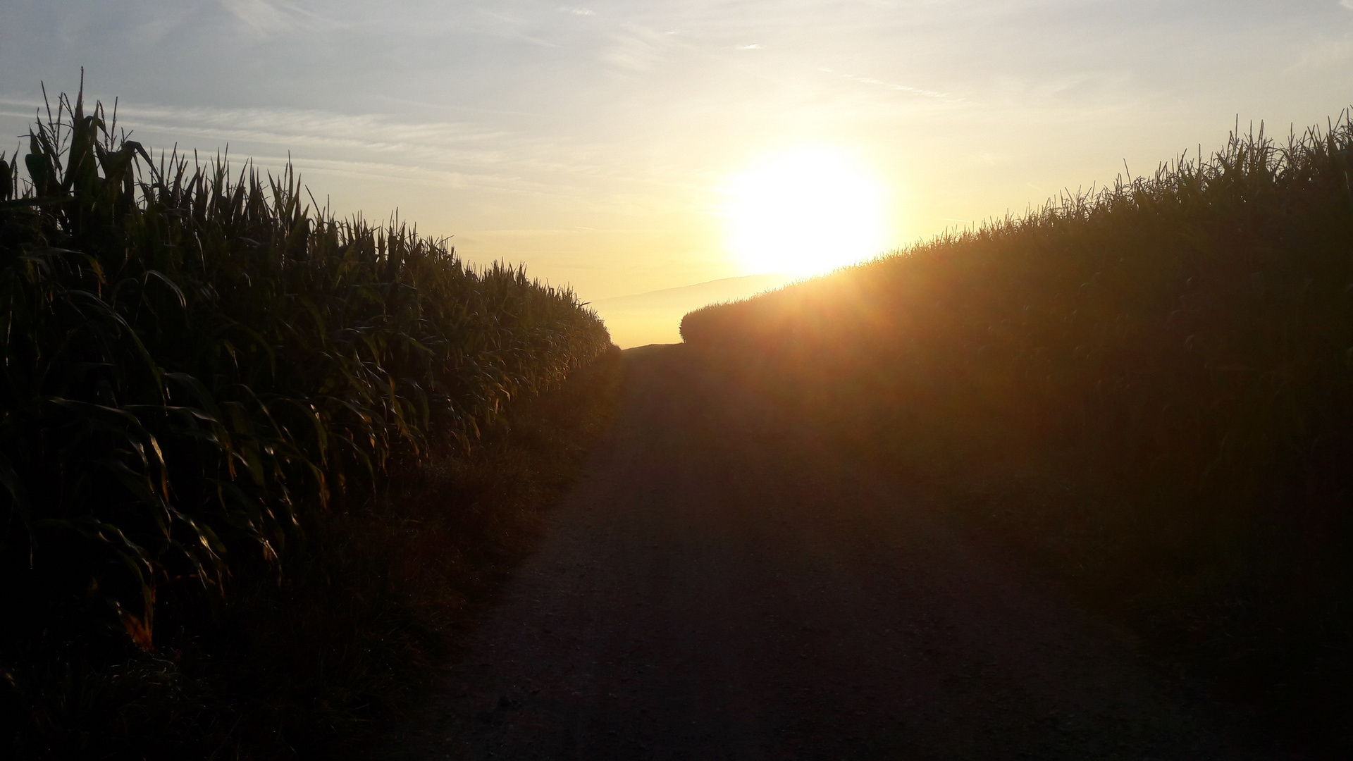 20200913  Morgendliche Wegbeleuchtung