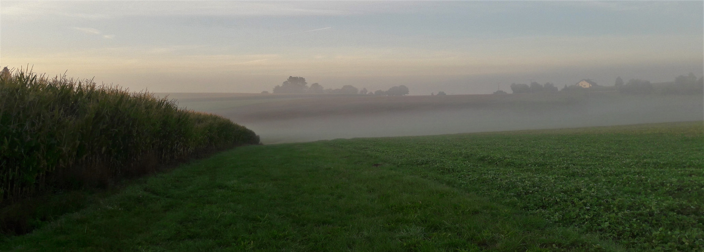 20200913 Morgentlicher Herbstnebel