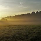 20200913 Sonntagssonnenaufgang mit Nebelstimmung