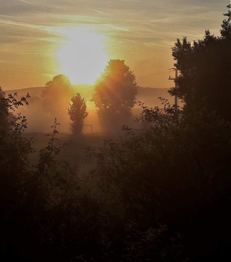 20200914 Durchblick und Rückblick nach dem Morgenspaziergang