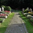20200919 Alt -Friedhof in Zell im Fichtelgebirge