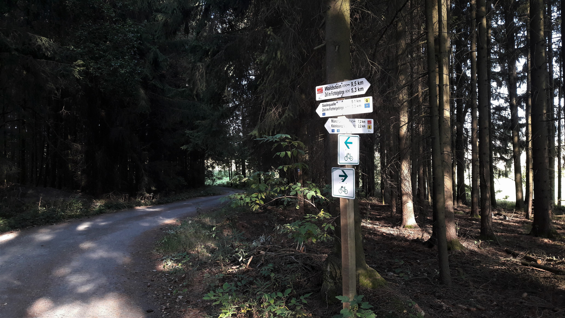 20200921 Schattige Waldwege im Fichtelgebirge