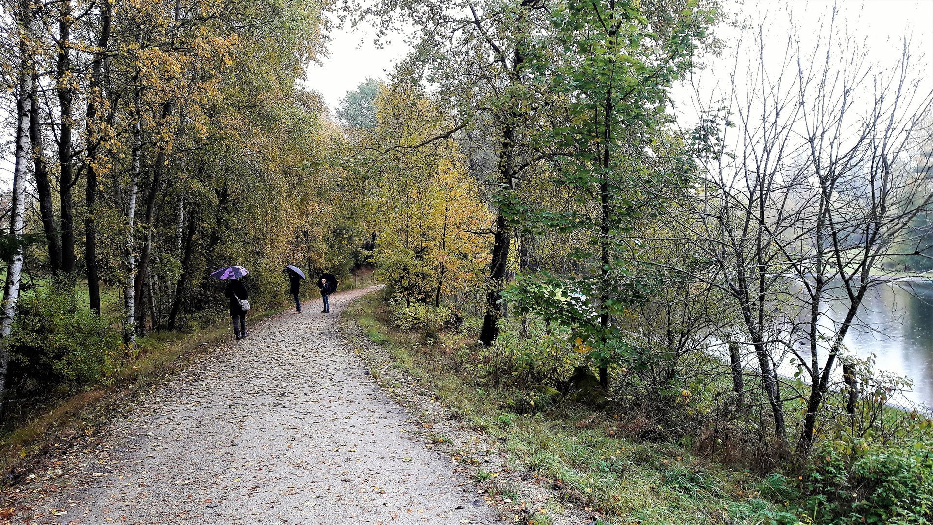 20201015 Regenwandern im Fichtelgebirge