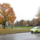 20201016  Dinkelsbühl Herbstlaubfärbung rund um die Schwedenwiese 