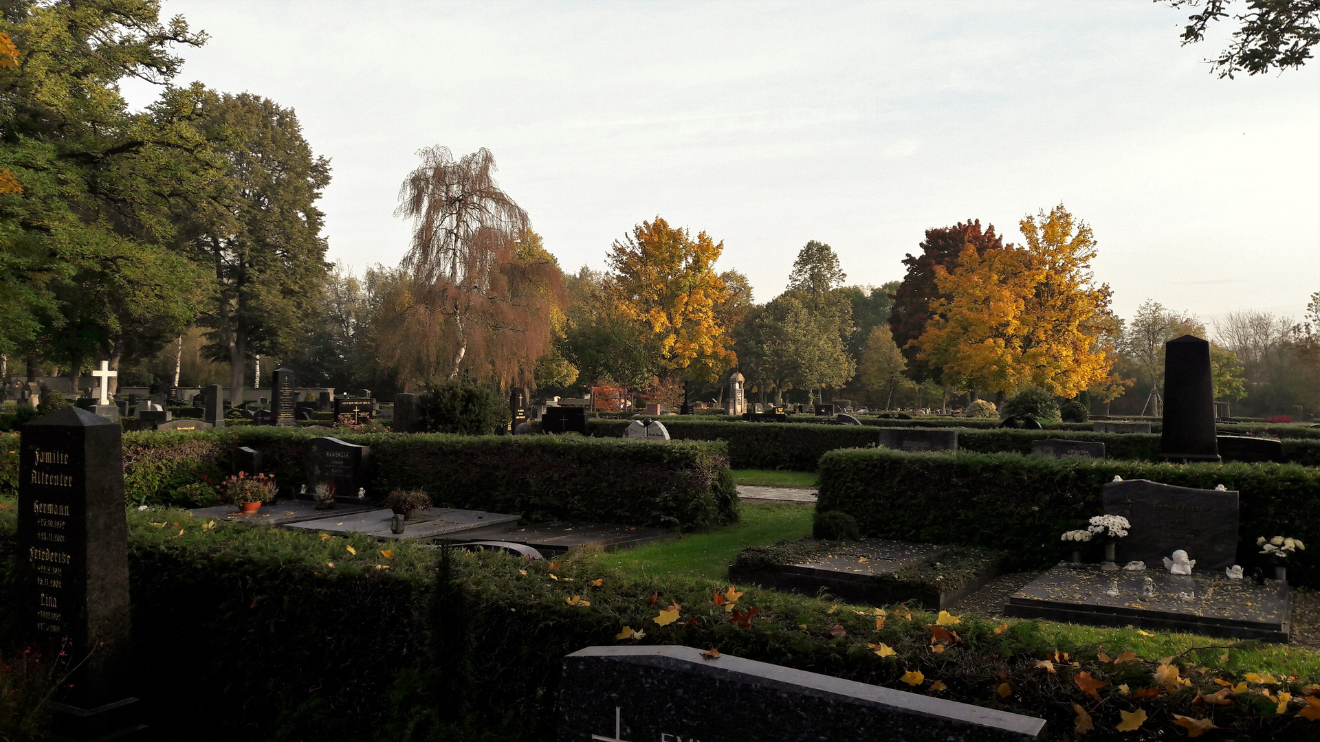 20201020 Dinkelsbühl Blick über die Friedhofsmauer