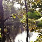 20201022 Blick durch die Laubbaumlücke am Lernschwimmteich