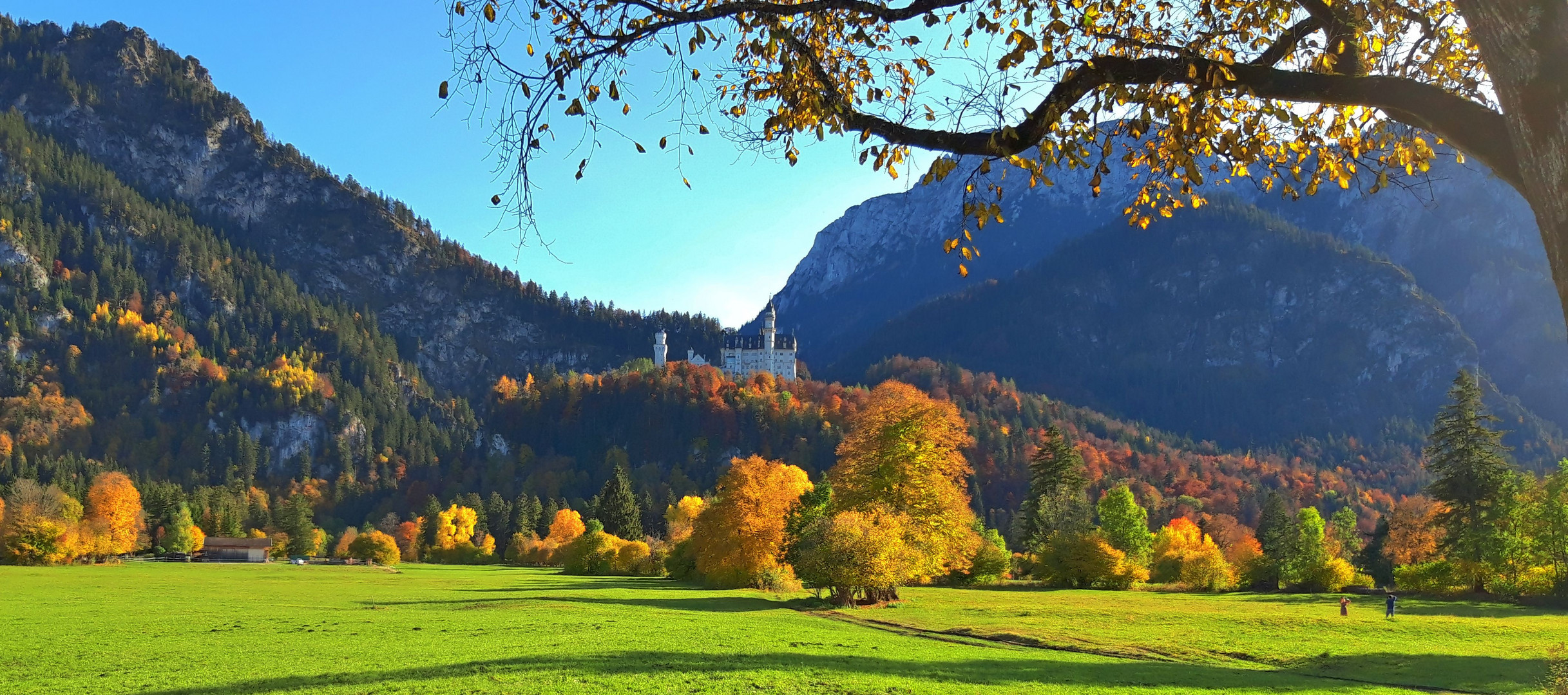 20201025_141347_Neuschwanstein