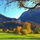 20201025_141347_Neuschwanstein