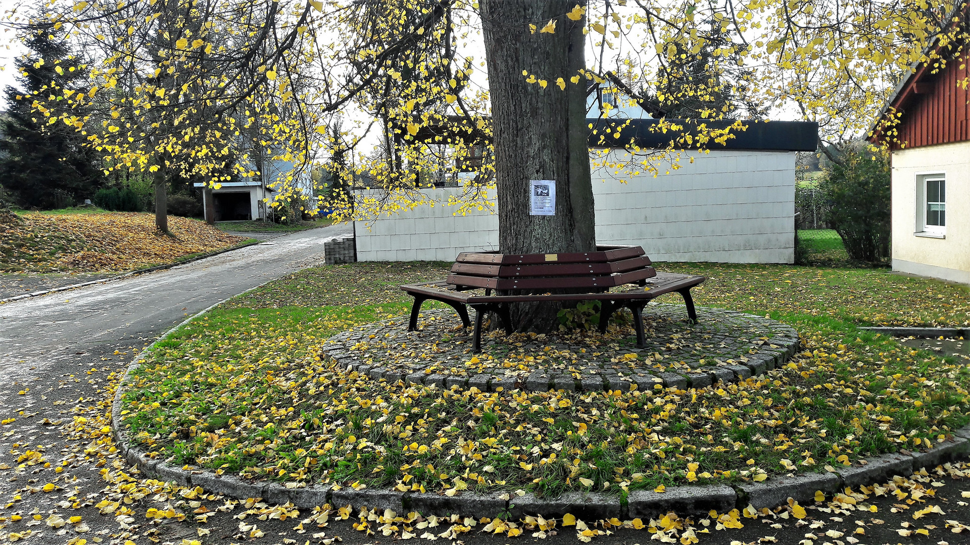 20201103  Mit Herbstlaub wunderschön  bedeckt 