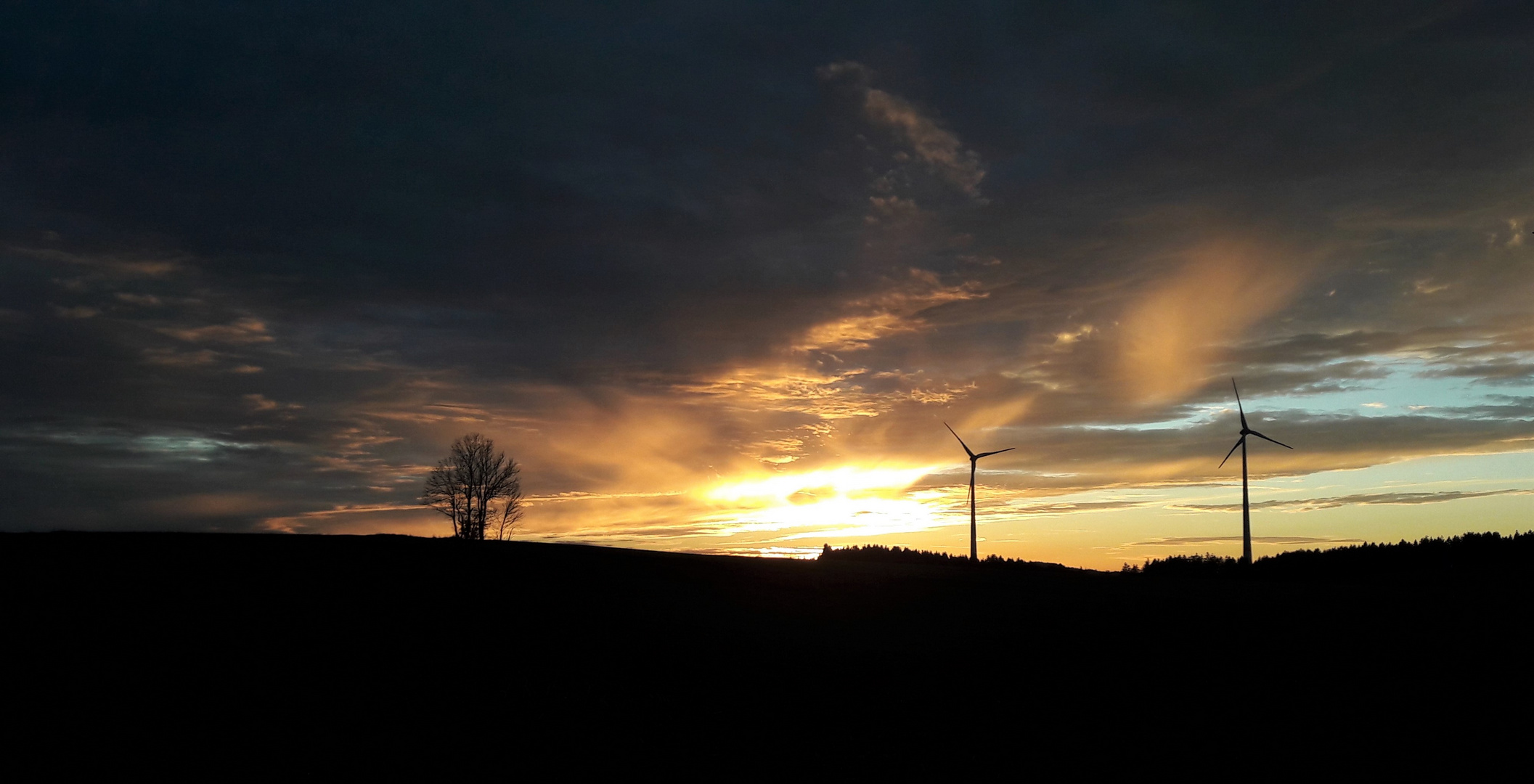 20201104  Schauen und Staunen