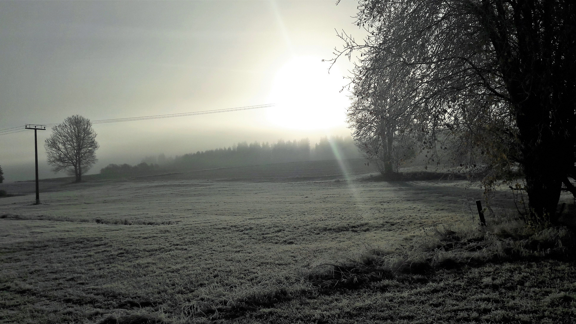 20201106   08 18   Frostiger Morgen