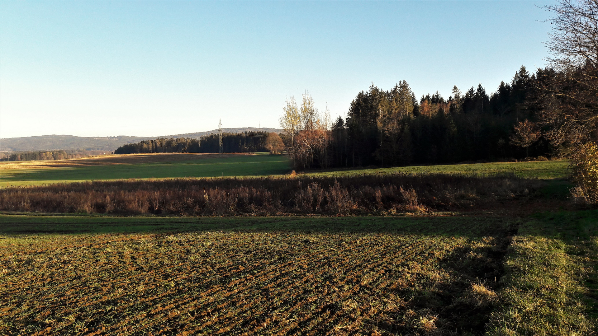 20201109 Fichtelgebirgsvorland in der Nachmittagssonne