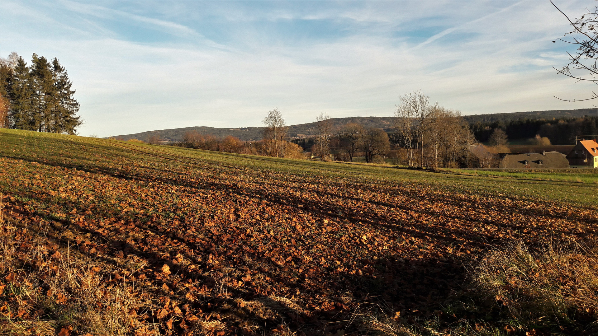 20201118 Herbstruhe über den Feldern