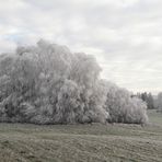 20201127 Im Reich der weißen Träume