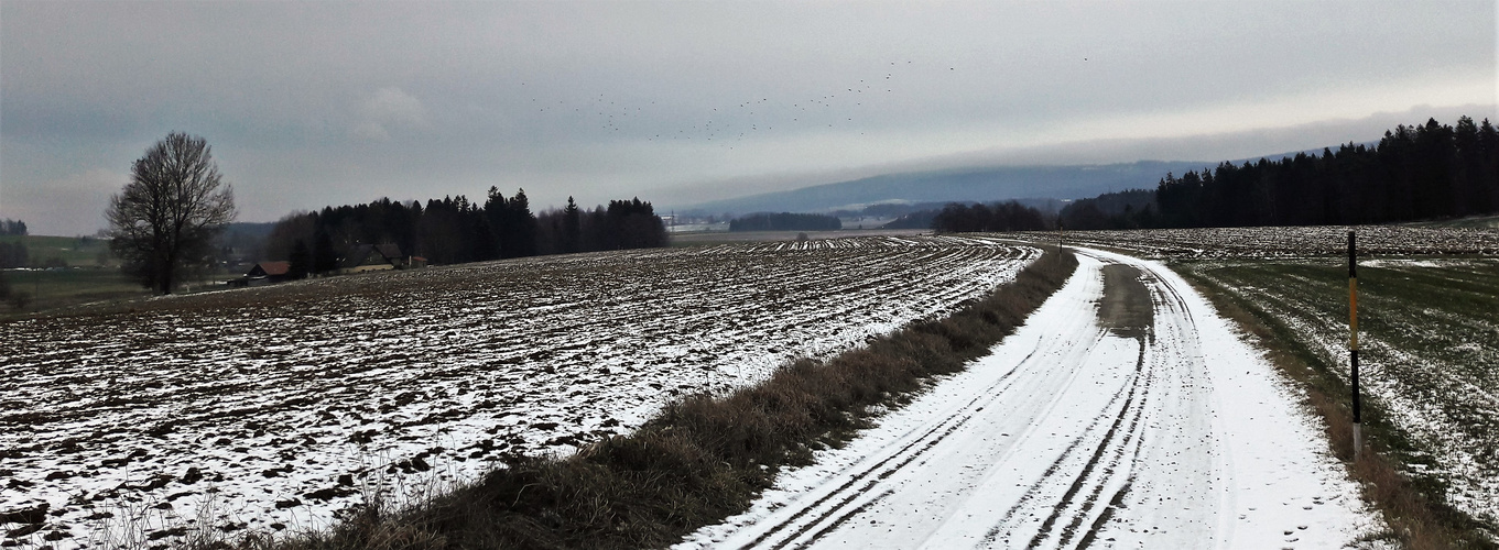 20201204 Erste Langlauf - Skispuren auf dem Wasserscheideweg