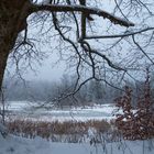 20201205 Winterlandschaft Hoherodskopf