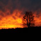 20201215_0759 Brennende Wolken im Fichtelgebirge I