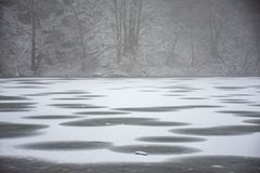 2021-01-03_Silbersee-im-Schnee_DSC_5770_300dpi_100p-2