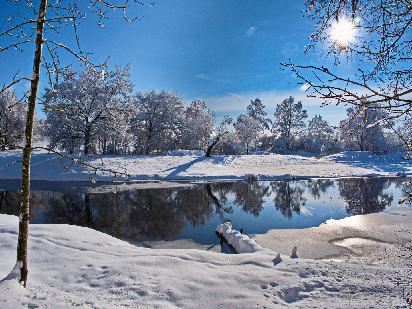 2021-01-15 Winter an der Brigach II