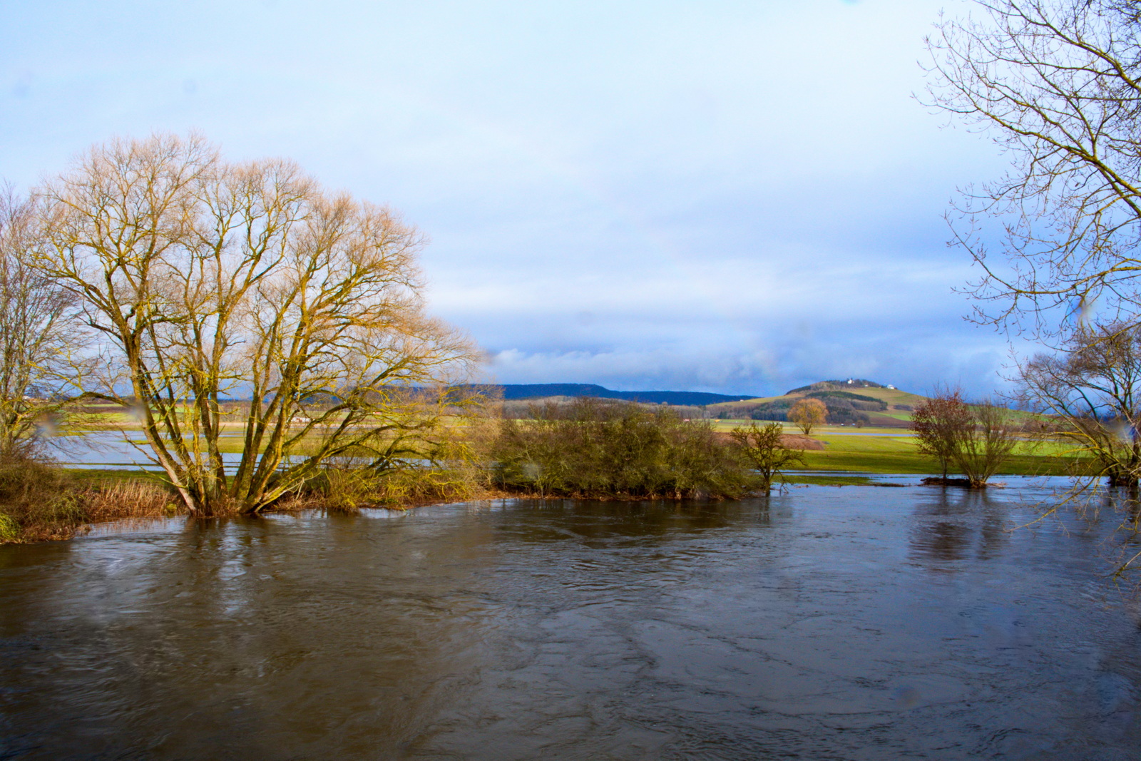 2021-02-01 Hochwasser an der jungen Donau 