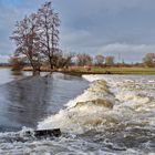 2021-02-01 Hochwasser an der jungen Donau beim Wehr von Neudingen