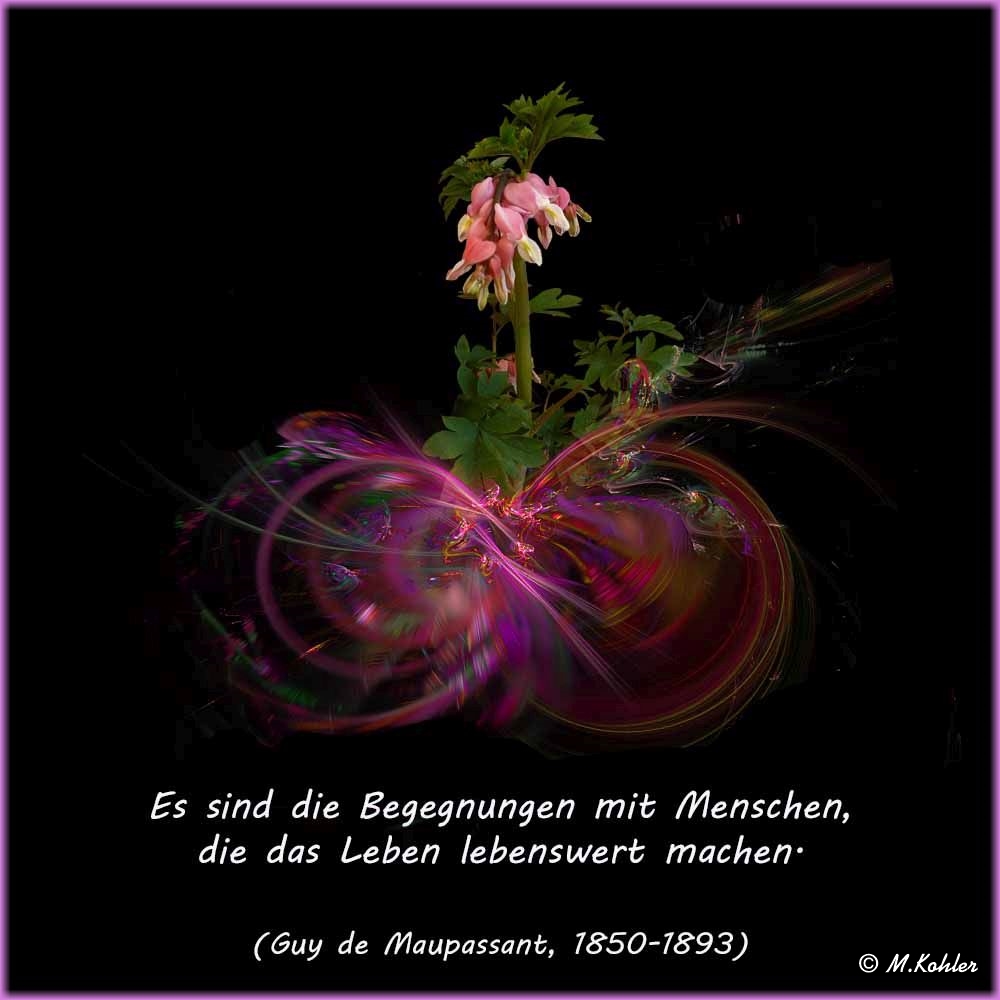 2021-03-22-Begegnungen