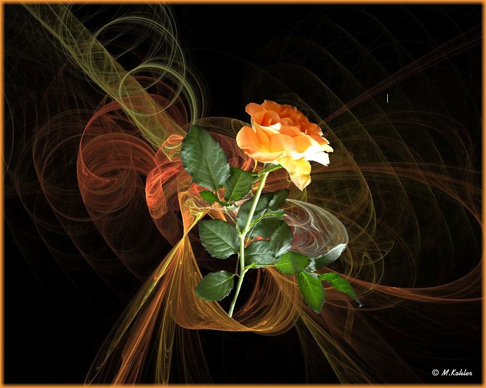 2021-04-21 Apophysis mit Rose als Mittwochsblümchen