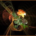 2021-04-21 Apophysis mit Rose als Mittwochsblümchen