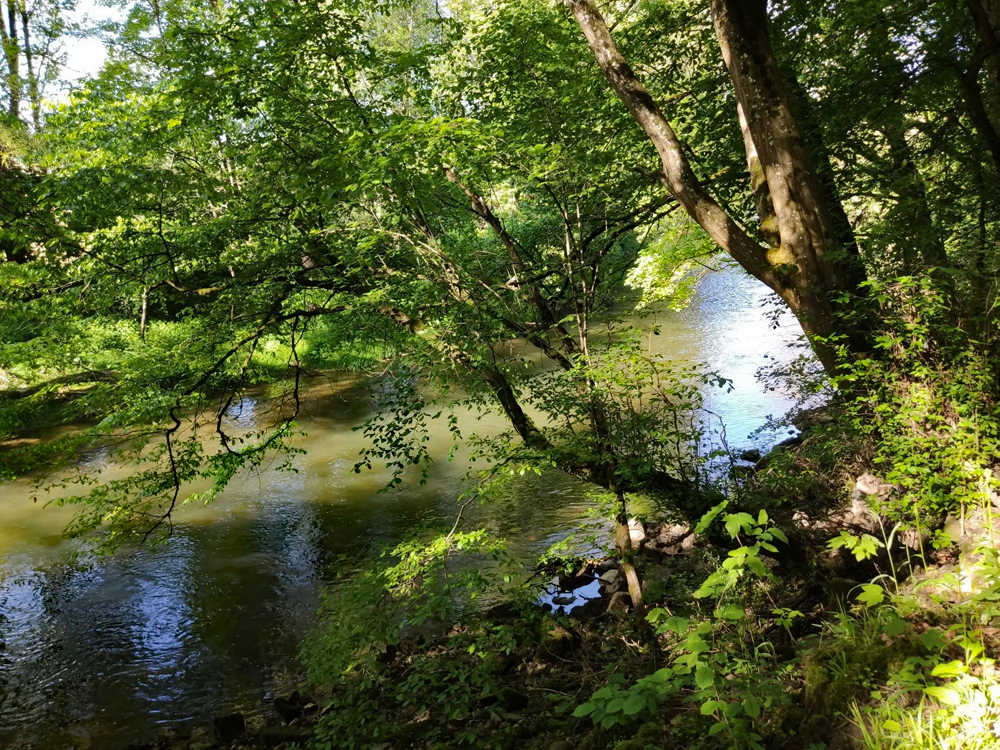 2021-05-24-Wanderung.....