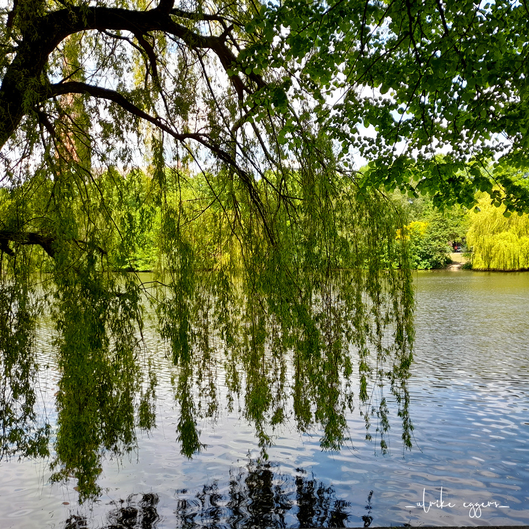 2021-06-02 Am Kuhmühlenteich