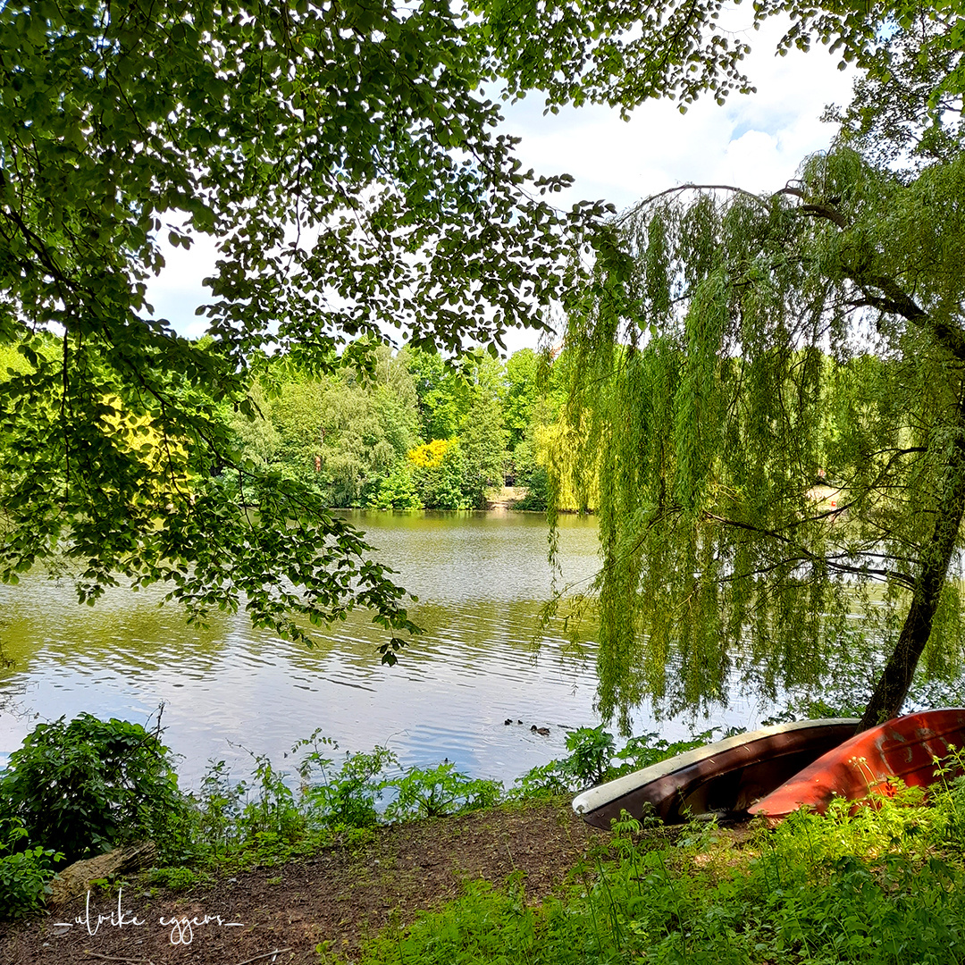 2021-06-02 Boote am Kuhmühlenteich