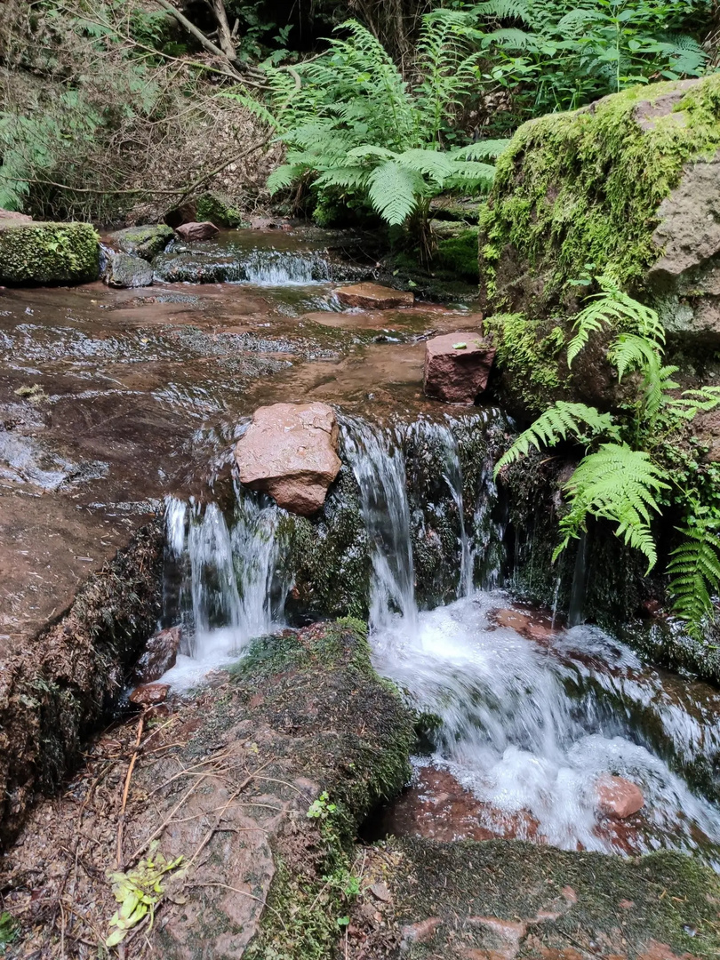 2021-07-15-Wolfsschlucht bei Zwingenberg