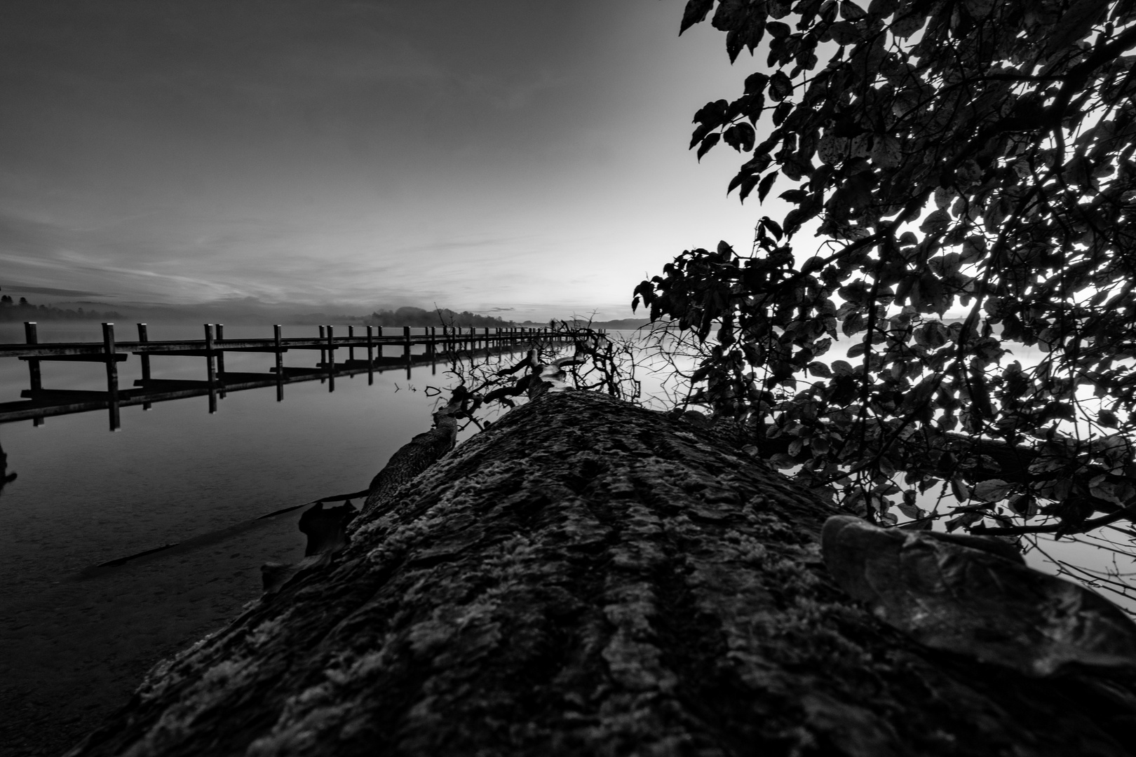 2021 10 31 Ammersee_016