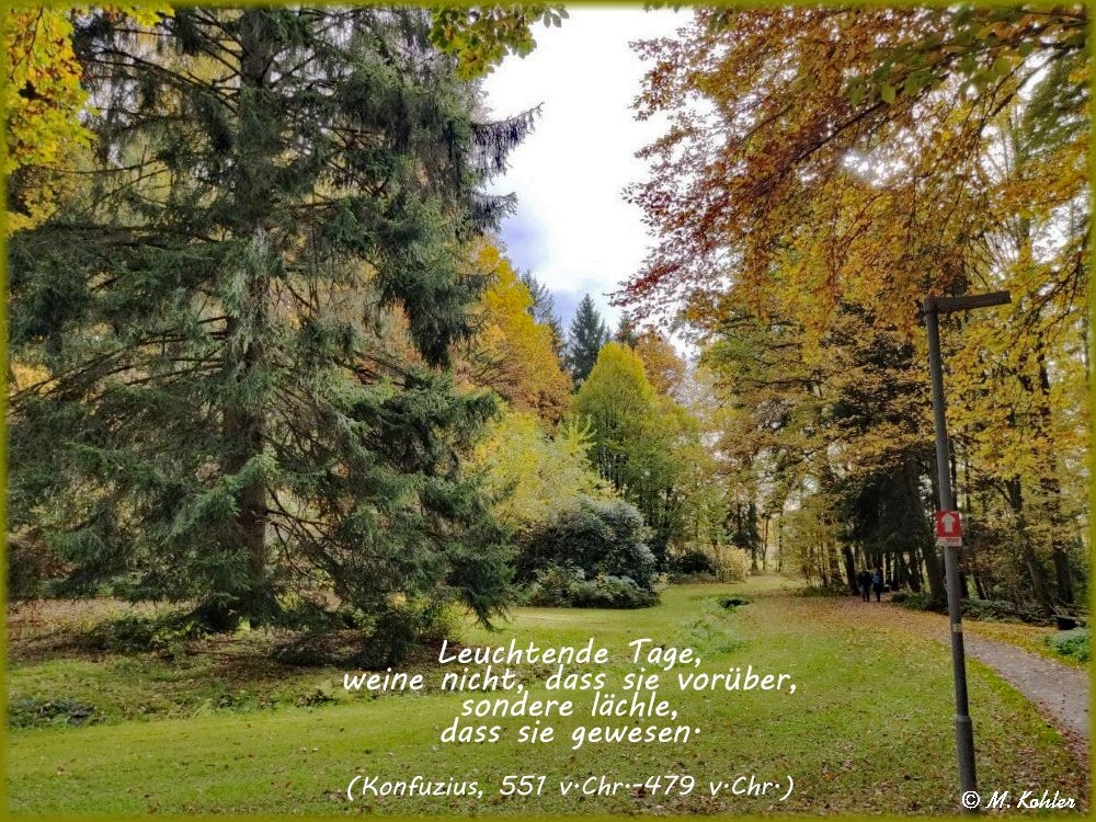 2021-11-01-Leuchtende Tage