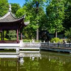 2021-Chinesischer Garten in Frankfurt 