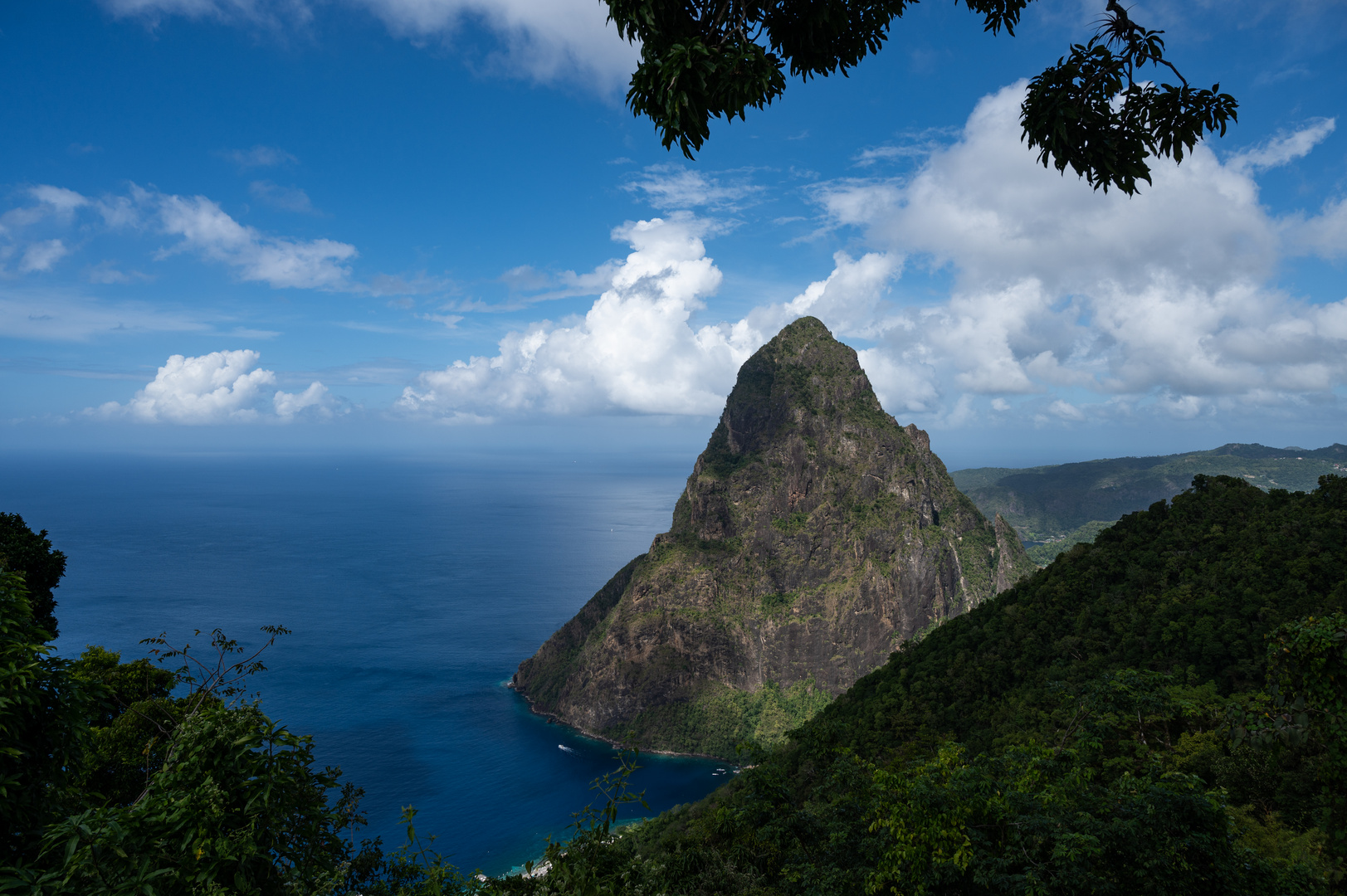 2021 Einer der Pitone auf St. Lucia