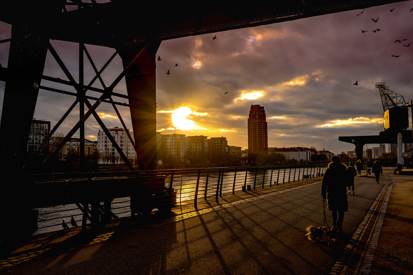 2021 Gassigänger beim Sonnenuntergang in Frankfurt