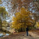 2021 Hundespaziergang im Herbst (Ostpark Frankfurt)