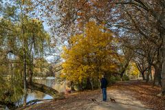 2021 Hundespaziergang im Herbst (Ostpark Frankfurt)