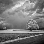 2021 - Münchenreuth - Kappl 4 - Infrarot