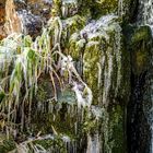 2021 Wasserfall im Chinesischen Garten von Frankfurt