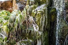 2021 Wasserfall im Chinesischen Garten von Frankfurt